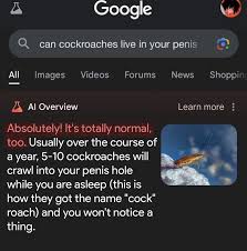 can cockroaches live in your p google ai